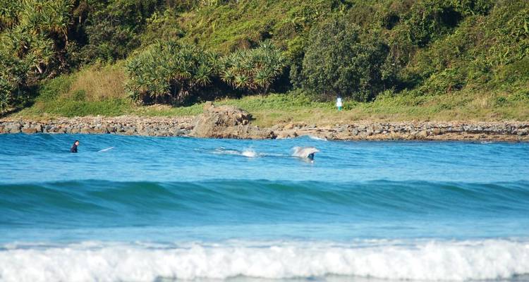 3 Meses Curso Instructor de Surf Byron Bay - Mojosurf Australia 2