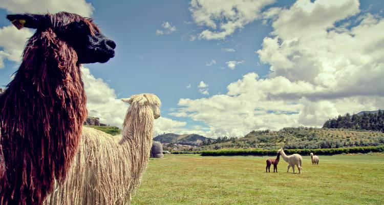 The Scenic Route - Lima to Buenos Aires - G Adventures 4