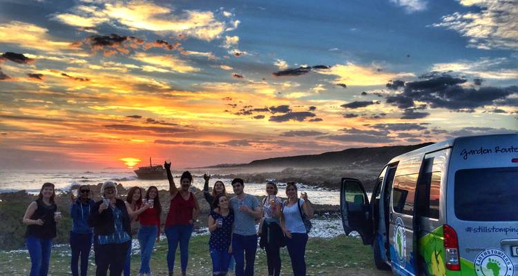 Garden Route & Addo Group Adventure - 6 Days - Earthstompers Adventures 3