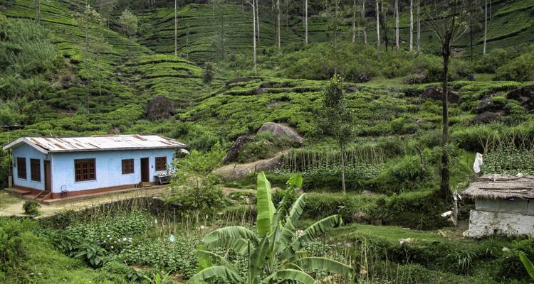 Sri Lanka: Spice Gardens & Seasides - G Adventures 4