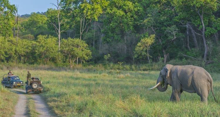 Parc national de Corbett - 4 jours - On The Go Tours 1