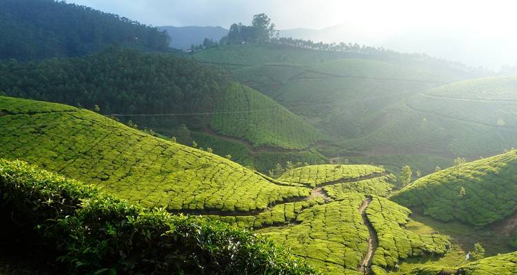 Üppige grüne Hügel unter einer strahlenden Sonne.