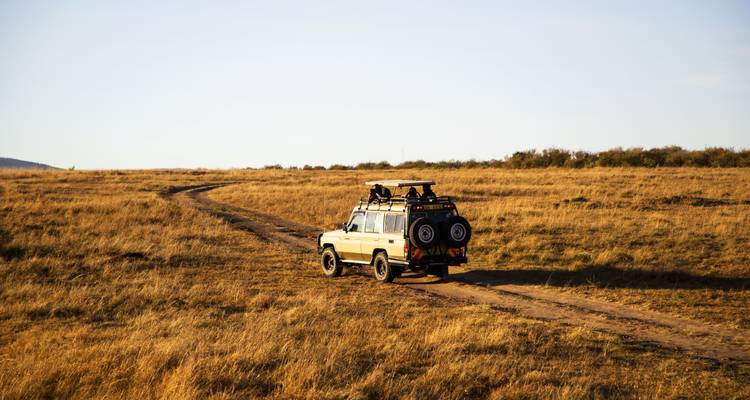 Kenya : Un safari classique avec Nairobi - Globus 7