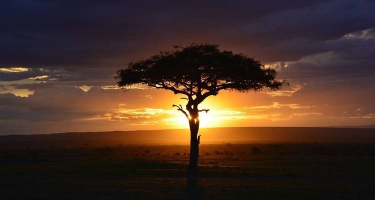 Kenya : Un safari classique avec Nairobi - Globus 10