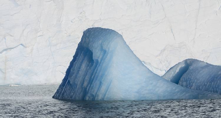 Patagonia: Journey to the End of the World - Globus 6