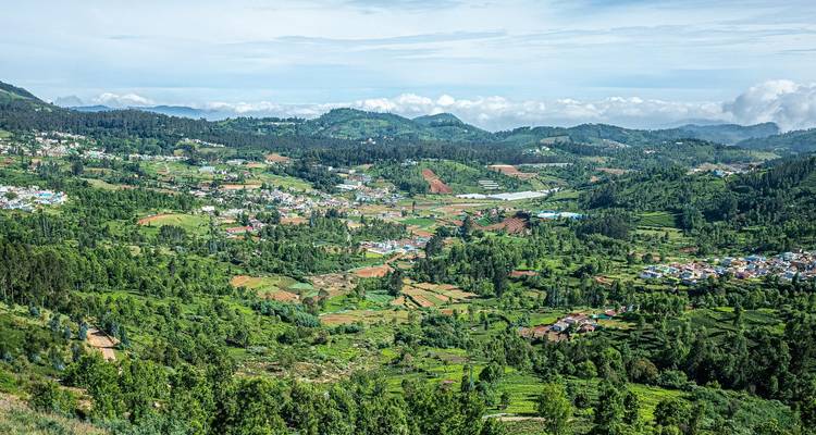 Collines de Nilgiri - 5 jours - On The Go Tours 6