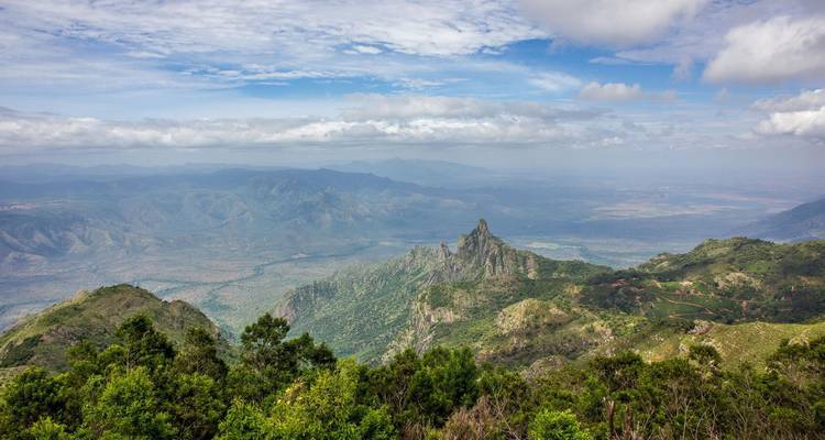 Collines de Nilgiri - 5 jours - On The Go Tours 8