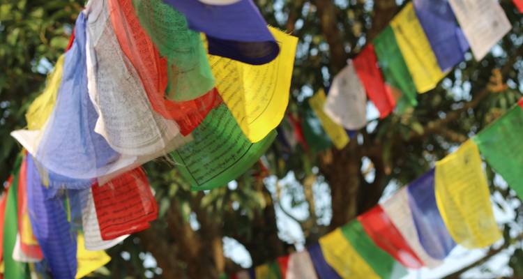 Rishikesh - 4 jours - On The Go Tours 4