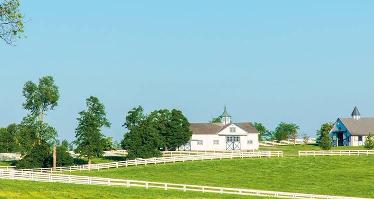 Landelijk landschap met hekken, schuren en groen.