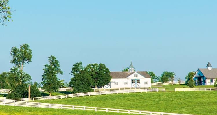 Plattelandstafereel met witte hekken en schuren.