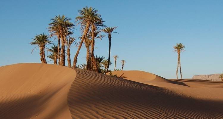 Rock the Kasbah - 10 días - On The Go Tours 7