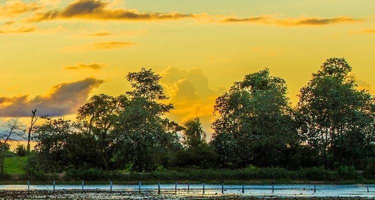 Le Brésil, l'Argentine et le Chili se dévoilent avec l'Amazonie brésilienne - Cosmos 1