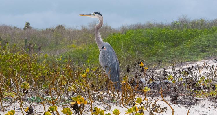 Galápagos - Îles du Sud et de l'Est à bord du Yolita - G Adventures 7