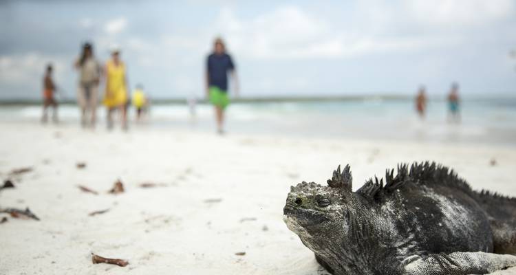 Galápagos — South & East Islands aboard the Yolita - G Adventures 6