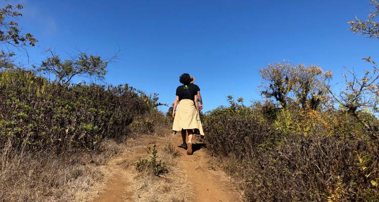 Un senderista solitario caminando por un sendero polvoriento rodeado de arbustos secos bajo un cielo azul brillante.