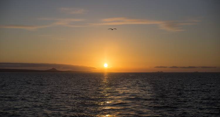 Galápagos Tierra y mar - islas central y sur a bordo del Yolita - G Adventures 3