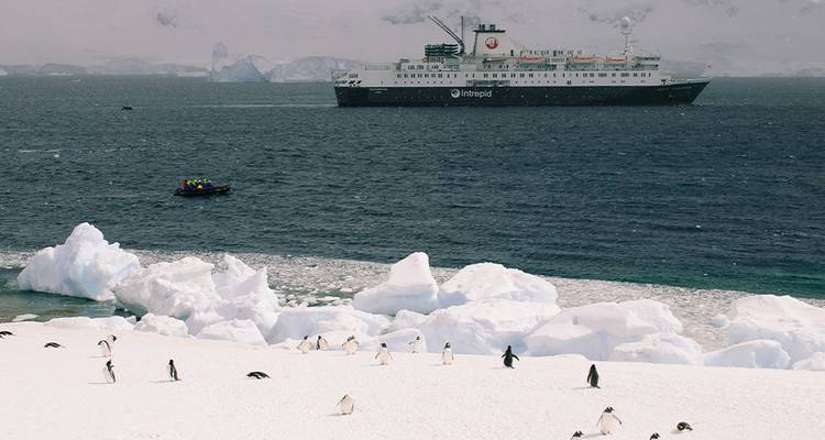 Pinguïns verspreid over een sneeuwachtig strand terwijl een expeditieboot door ijzig antarctisch water vaart