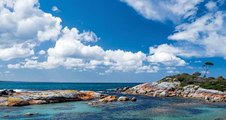 Taste of Tasmania - Adventure Tours Australia 3