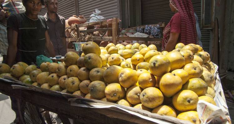 Journeys: Discover India National Geographic Journeys - National Geographic Journeys with G Adventures 3
