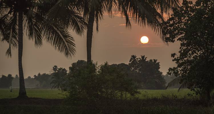 Sur de la India: Explora Kerala Viajes de National Geographic - National Geographic Journeys with G Adventures 1