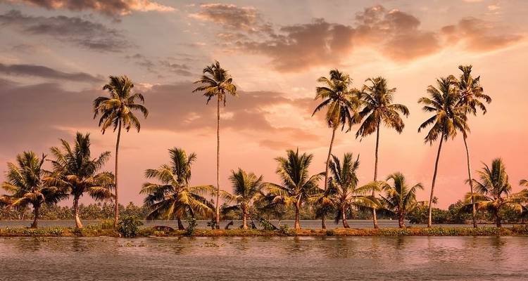 Sur de la India: Explora Kerala Viajes de National Geographic - National Geographic Journeys with G Adventures 8