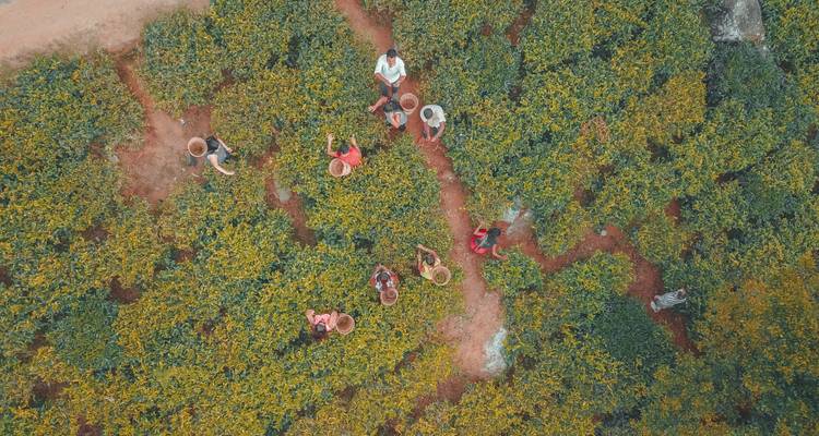 Viajes: Descubre Sri Lanka Viajes de National Geographic - National Geographic Journeys with G Adventures 3