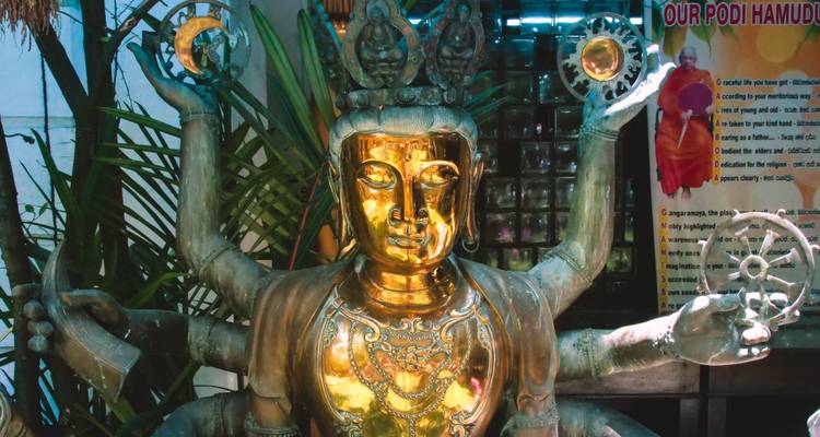 Viajes: Descubre Sri Lanka Viajes de National Geographic - National Geographic Journeys with G Adventures 4