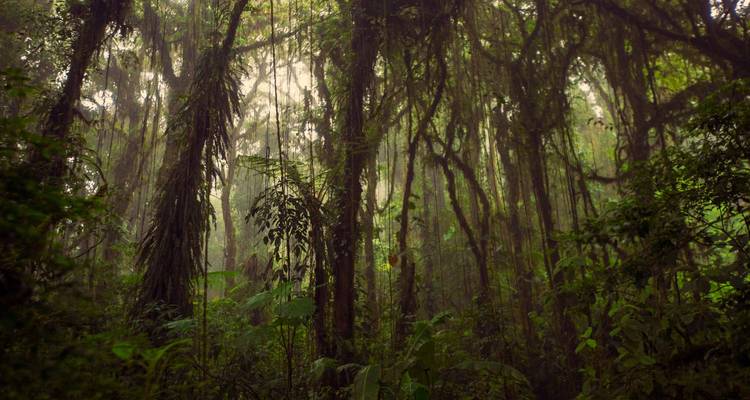 Journeys : Points forts du Costa Rica National Geographic Journeys - National Geographic Journeys with G Adventures 2