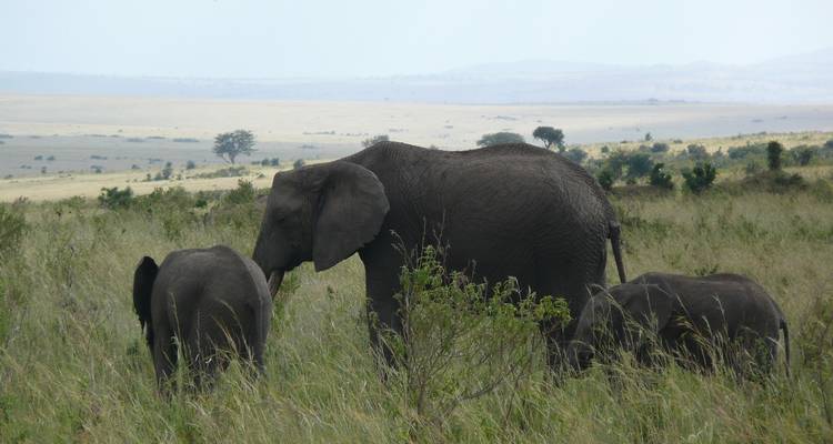 Journeys : Safari au Kenya National Geographic Journeys - National Geographic Journeys with G Adventures 10