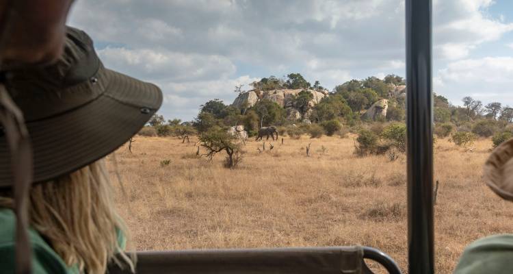 Two people looking at an elephant in a safari landscape from a vehicle.