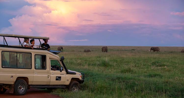 Vehículo de safari al atardecer con viajeros observando elefantes distantes pastando en las llanuras abiertas y cubiertas de hierba bajo un cielo colorido.