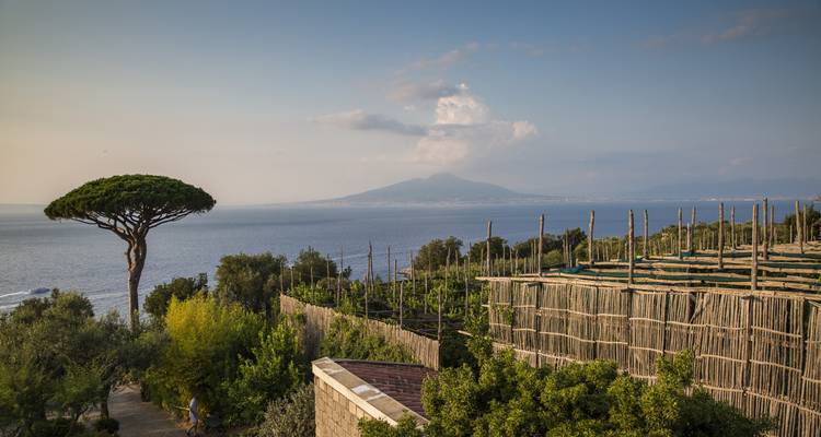 Journeys : Les points forts de l'Italie National Geographic Journeys - National Geographic Journeys with G Adventures 3