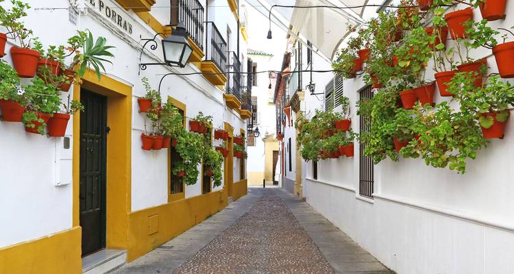 Callejón estrecho y encalado de Córdoba flanqueado por macetas de geranios rojo brillante y pavimento de adoquines.