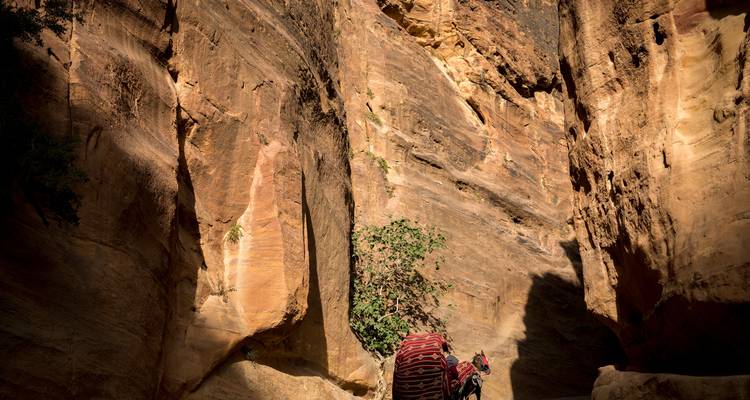 Circuito de 3 días a Petra y Wadi Rum desde Tel Aviv - Abraham Tours 7