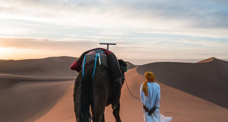 Marruecos auténtico - Wingbuddy 6