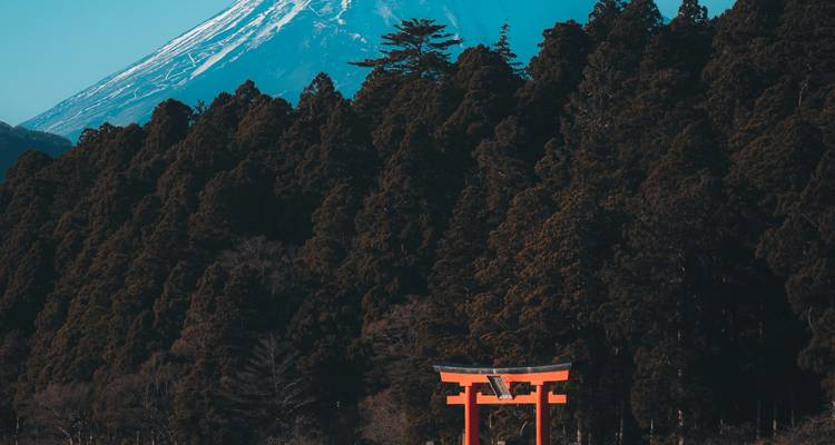 Torii-poort met de berg Fuji op de achtergrond.