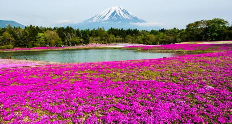 Découverte de Hakone, porte d'entrée du Mont Fuji 3D/2N - Bamba Travel 4