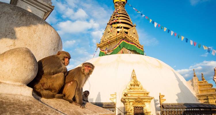 Kathmandu City Stay - 4 days - On The Go Tours 8