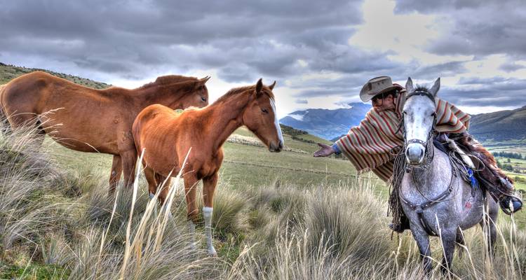 Circuito de un día a caballo - Tierra del Volcan 7