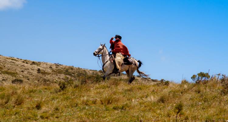 Circuito de un día a caballo - Tierra del Volcan 1