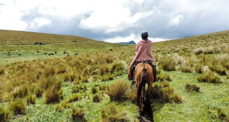 Circuito de un día a caballo - Tierra del Volcan 6