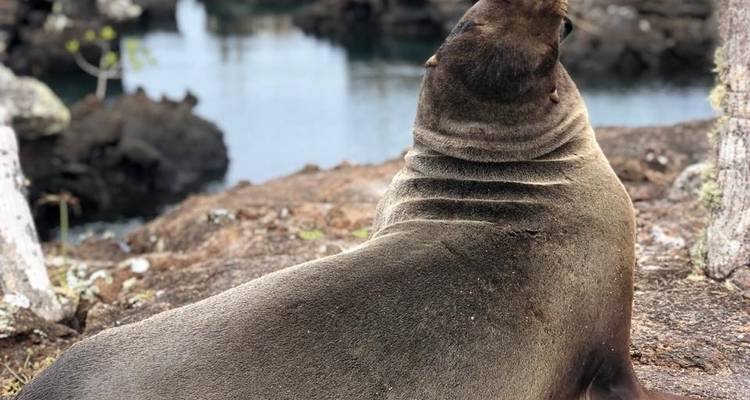 Le meilleur de l'Équateur et des Galápagos - Adventure Journeys 2
