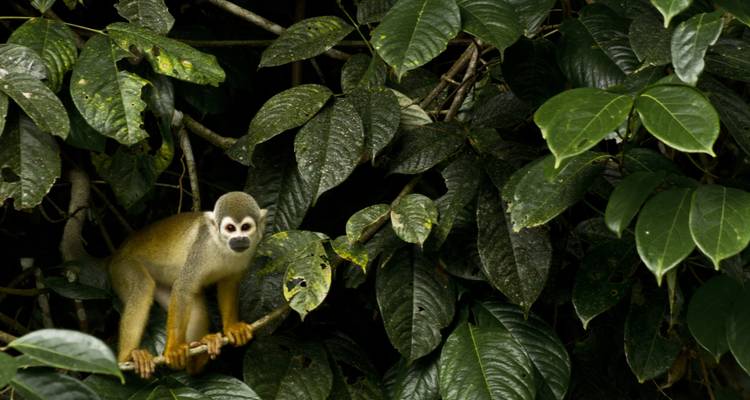 Ecuador Highlights - Adventure Journeys 9
