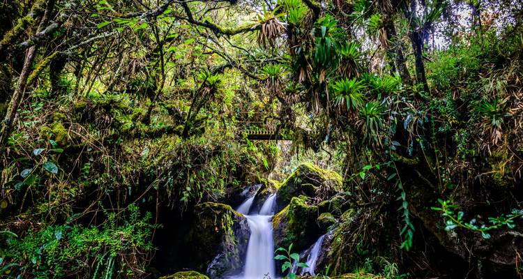 The Best of Ecuador - Adventure Journeys 8