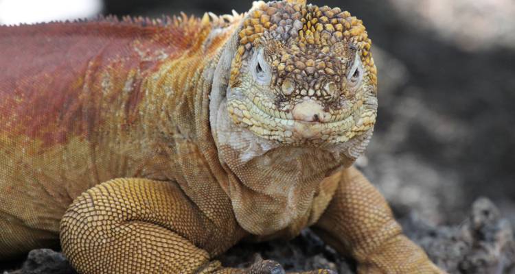 Galapagos Multisport - Adventure Journeys 7