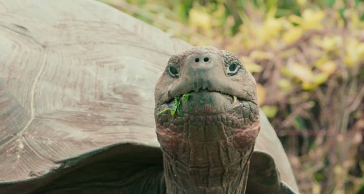 Galapagos Multisport - Adventure Journeys 6