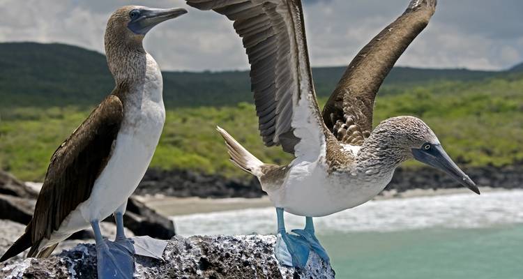 Le meilleur des Galápagos - Adventure Journeys 3