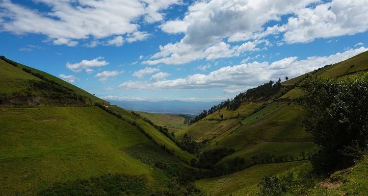 A lush green valley with a blue sky and scattered clouds.