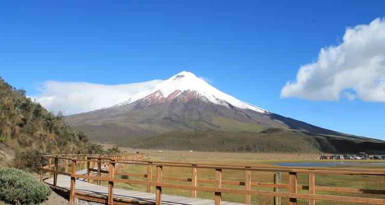 Cotopaxi Volcano with boardwalk in foreground.
