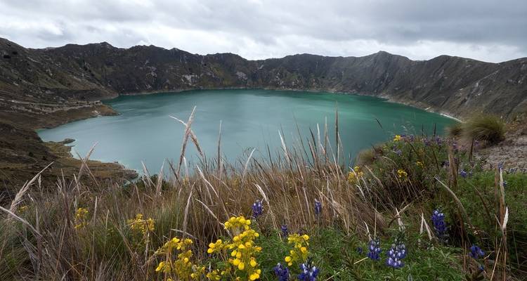 Ein malerischer See, umgeben von Bergen, mit Wildblumen im Vordergrund.